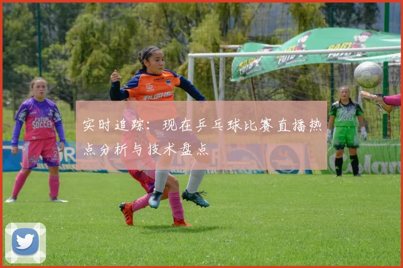 实时追踪：现在乒乓球比赛直播热点分析与技术盘点